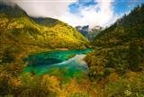 Scenic China Honeymoon