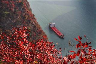 Yangtze River Cruise Yangtze River Cruise