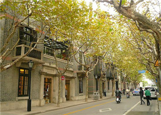 The Former French Concession The Former French Concession