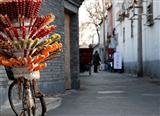 Essence of China Tour with Flight Deals