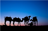 Silk Route Adventure 