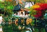 Shanghai and Her Amazing Neighbours