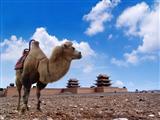 Urumqi to Beijing Silk Road Adventure by Shangri-la Express