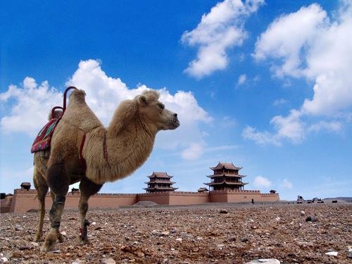 Urumqi to Beijing Silk Road Adventure by Shangri-la Express