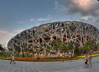 Bird's Nest Bird's Nest