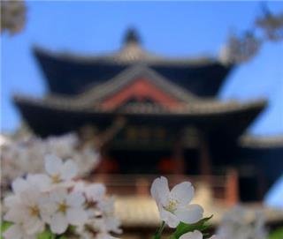Big Wild Goose Pagoda Big Wild Goose Pagoda