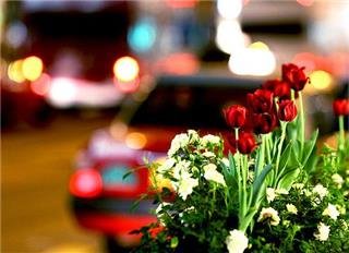 Romantic China Tour Romantic China Tour