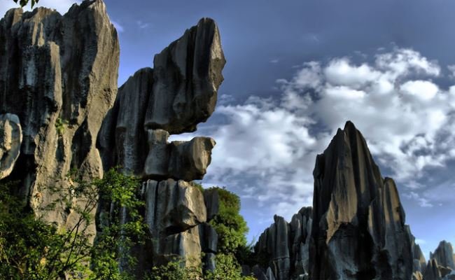 Stone Forest