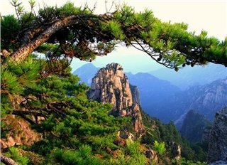 Yellow Mountain Yellow Mountain