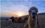 Splendid Silk Road Trip