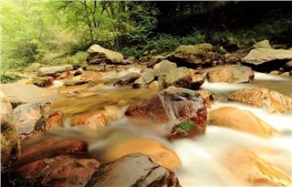Amazing Zhangjiajie Tour from Shanghai Amazing Zhangjiajie Tour from Shanghai