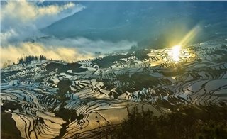 Terrace Fields in Yuanyang Terrace Fields in Yuanyang
