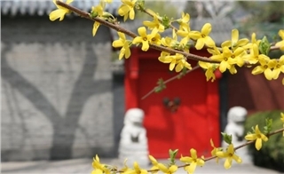 Hutong house in Beijing Hutong house in Beijing