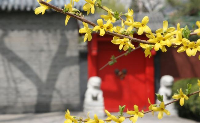 Hutong