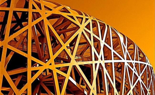 Bird's Nest