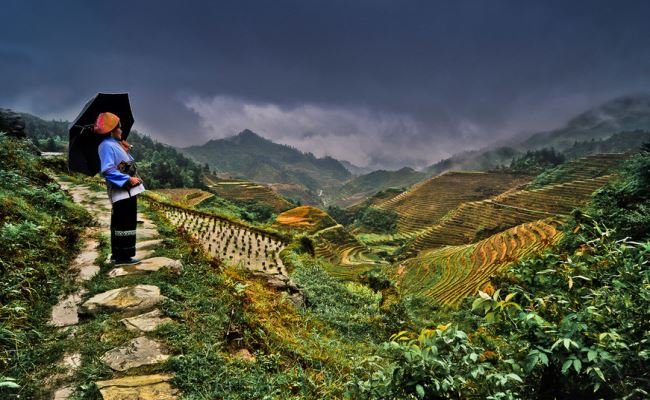 Longji Rice Terrace Fields