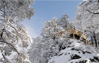 Chengdu Panda & Skiing Tour Chengdu Panda & Skiing Tour