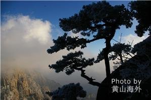 Wuyuan & Huangshan Tour Wuyuan & Huangshan Tour