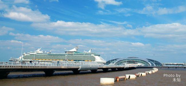 Wusongkou Pier to Pudong International Airport Pickup and Transfer