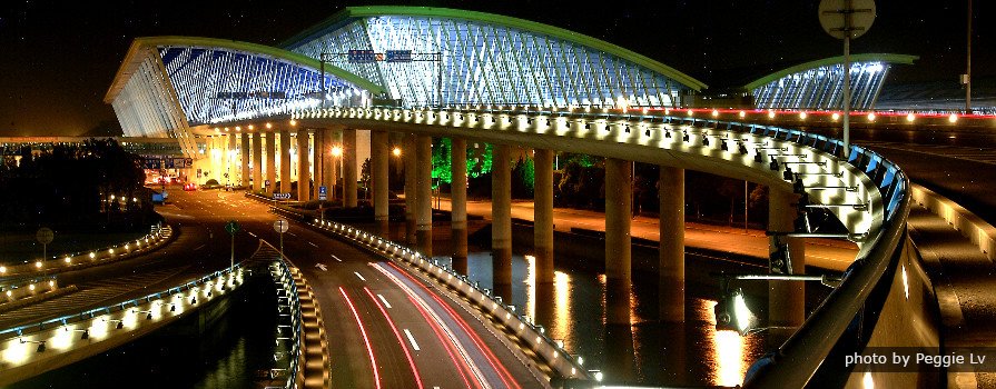 Shanghai Wusongkou Cruise Terminal pickup and transfer to Pudong Airport