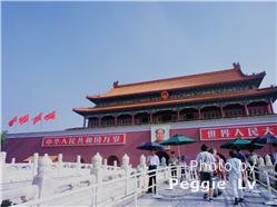 Great Value Beijing - Shanghai Tour Great Value Beijing - Shanghai Tour