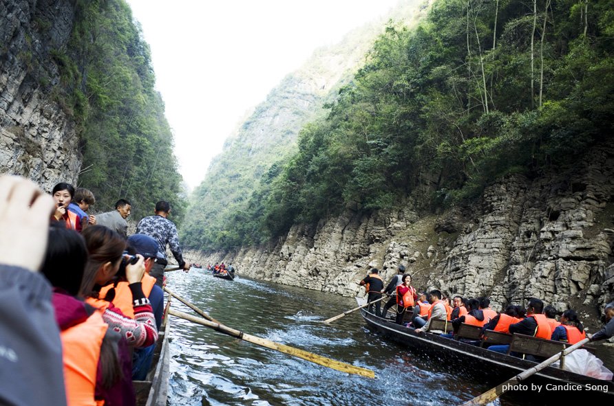 Shennong Stream