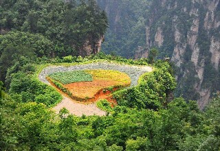 Yuanjiajie: Fields in the Air