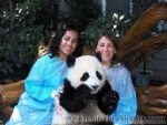 Panda Keeper Program and Chengdu Highlights Tour