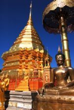 Chiang Mai Experience