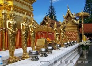 Chiang Mai Experience