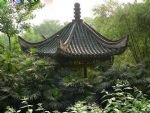 Chongqing and Yangtze River Cruise