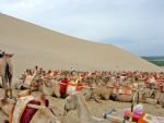 Essence of Dunhuang Tour