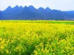 Guilin and Daxu Spring Tour