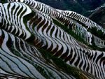 Essence of Guilin & Longsheng Hiking Tour