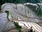 Essence Tour of longsheng