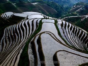 Map of Longsheng Terraced Field & Yangshuo Combo