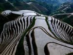 Longsheng Terraced Field & Yangshuo Combo