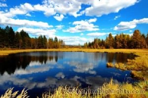 Alshan Ski with Essence of Northern Inner Mongolia Tour