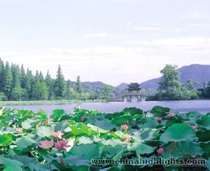 Hangzhou Essence Tour by High Speed Railway from Shanghai 
