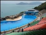 Essence of Hong Kong Seat-in-coach Tour  