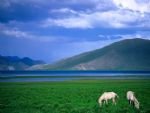 Essence of Northern Inner Mongolia Tour
