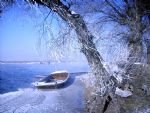 Harbin's Ice Wonderland and Jilin Explore Tour