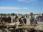 Silk Road to Tibet Explorer Trip
