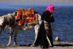 Beijing & Sunlit City Lhasa Tour