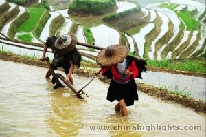 Guilin and longji Ancient Zhuang Ethnic Village Tour