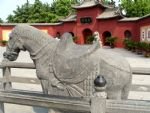 Luoyang Side Tour