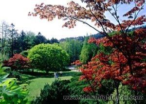 Nanchang and Mount Lu Tour