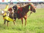 Tibetan Nagqu Horse Race Festival