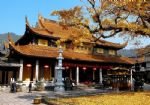 Essence of Ningbo Tour