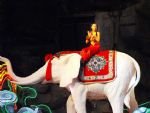 Hong Kong and Shenzhen Classic Tour